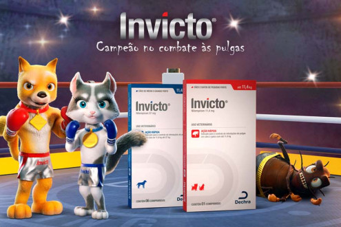 Dechra Brasil lança o Invicto®, campeão no combate às pulgas!