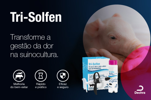 Dechra Brasil lança Tri-Solfen: uma solução eficaz no controle da dor na suinocultura.